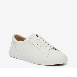 Lucky Brand Divahna Sneaker, size 6
